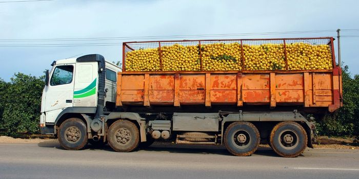 Tonaj Sınırı Yük Taşıma Kapasitesi ve Kamyon Tonajları